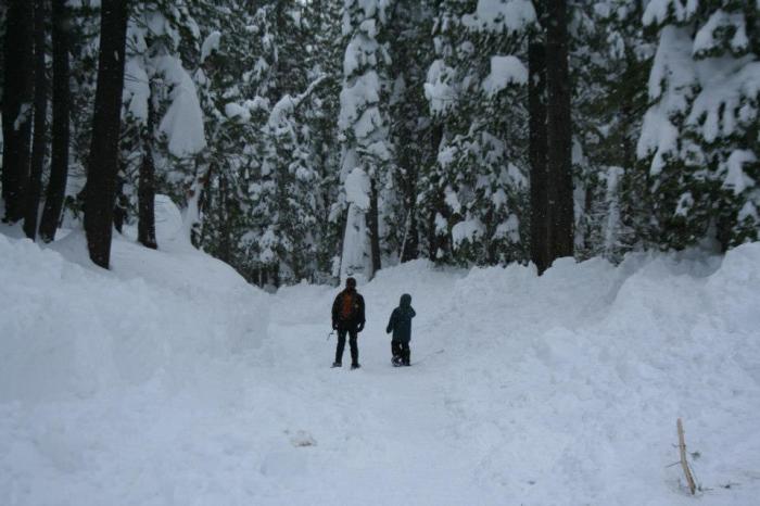 430805_10151606074448032_249332456_n