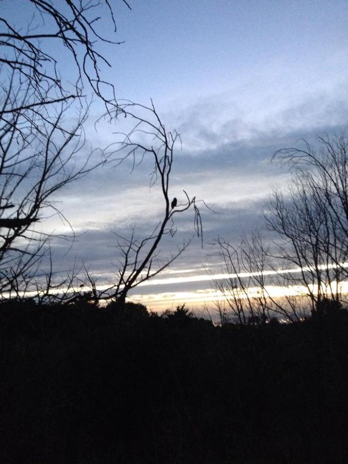 1505225_10153497401043032_4043383049482866248_n